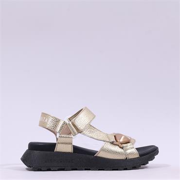 Hispanitas Ambar T-Bar Velcro Sandal - Gold Black